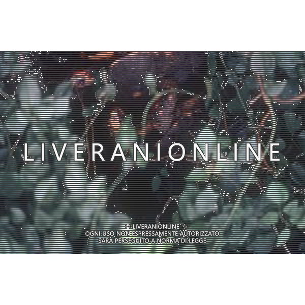 TARTARUGA - Tartarughe di terra (testuggini) ©ARCHIVIO / AGENZIA ALDO LIVERANI SAS