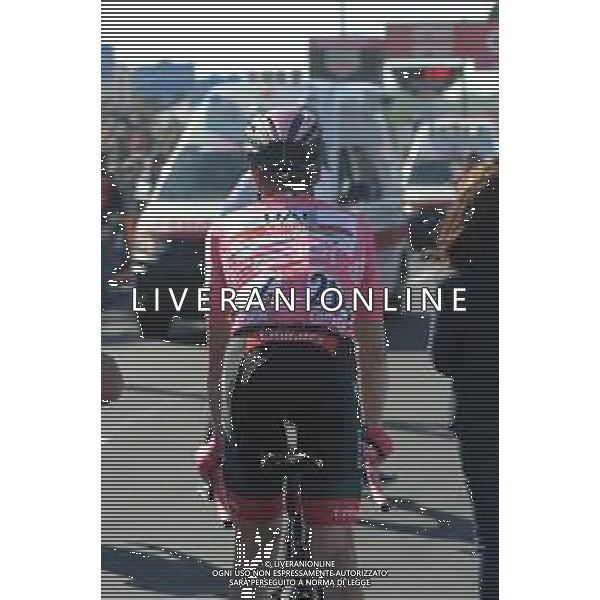 22-05-2019 Giro D\'italia; Tappa 11 Carpi - Novi Ligure; 2019, Uae - Emirates; Conti, Valerio; Novi Ligure; FOTO STEFANO SIROTTI-AG ALDO LIVERANI SAS
