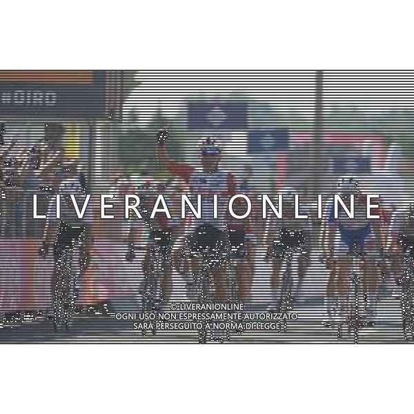 22-05-2019 Giro D\'italia; Tappa 11 Carpi - Novi Ligure; 2019, Lotto - Soudal; Ewan, Caleb; Novi Ligure; FOTO STEFANO SIROTTI-AG ALDO LIVERANI SAS