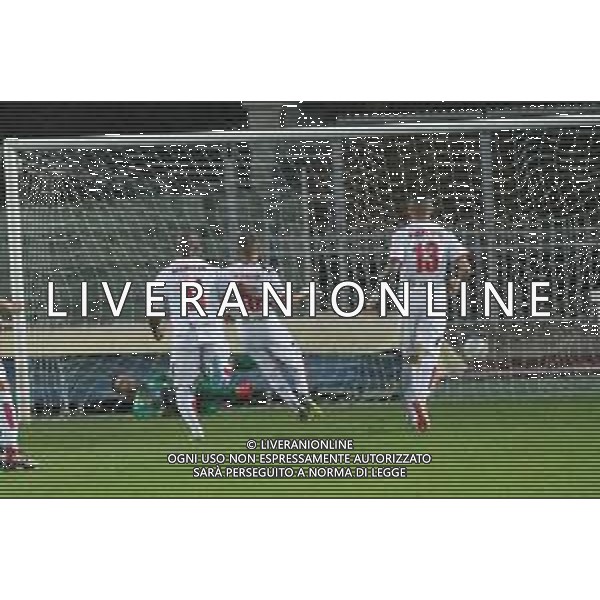 IMOLA 22 05 2019 IMOLESE CALCIO-MONZA PLAY OFF SERIE C NELLA FOTO GOL DI D\'ERRICO ANDREA MONZA foto gianni sanna-ag aldo liverani sas