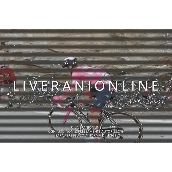 24-05-2019 Giro D\'italia; Tappa 13 Pinerolo - Ceresole Reale; 2019, Uae - Emirates; Polanc, Jan; Ceresole Reale; ©SIROTTI / AGENZIA ALDO LIVERANI SAS