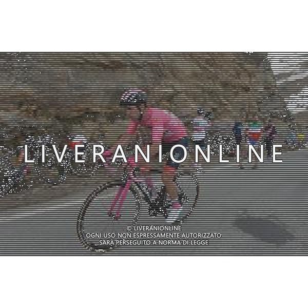 24-05-2019 Giro D\'italia; Tappa 13 Pinerolo - Ceresole Reale; 2019, Uae - Emirates; Polanc, Jan; Ceresole Reale; ©SIROTTI / AGENZIA ALDO LIVERANI SAS