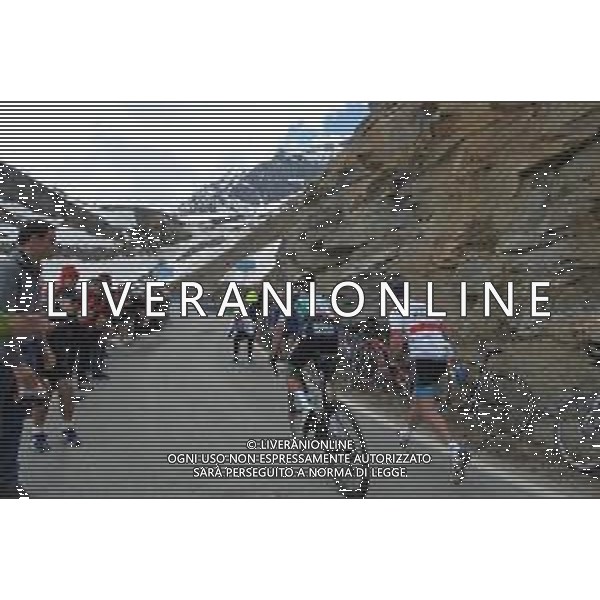 24-05-2019 Giro D\'italia; Tappa 13 Pinerolo - Ceresole Reale; 2019, Bora - Hansgrohe; Majka, Rafal; Ceresole Reale; ©SIROTTI / AGENZIA ALDO LIVERANI SAS