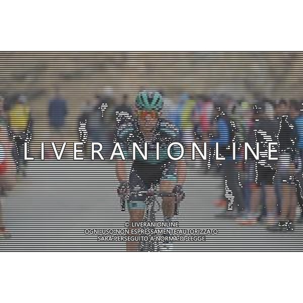 24-05-2019 Giro D\'italia; Tappa 13 Pinerolo - Ceresole Reale; 2019, Bora - Hansgrohe; Majka, Rafal; Ceresole Reale; ©SIROTTI / AGENZIA ALDO LIVERANI SAS