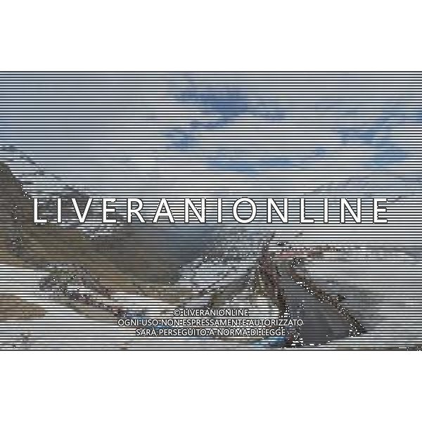 24-05-2019 Giro D\'italia; Tappa 13 Pinerolo - Ceresole Reale; Ceresole Reale; ©SIROTTI / AGENZIA ALDO LIVERANI SAS