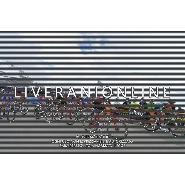 24-05-2019 Giro D\'italia; Tappa 13 Pinerolo - Ceresole Reale; 2019, Trek - Segafredo; Gogl, Michael; Irizar, Markel; Ceresole Reale; FOTO STEFANO SIROTTI-AG ALDO LIVERANI SAS