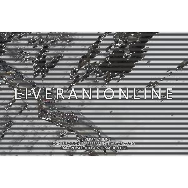 24-05-2019 Giro D\'italia; Tappa 13 Pinerolo - Ceresole Reale; Ceresole Reale; FOTO STEFANO SIROTTI-AG ALDO LIVERANI SAS