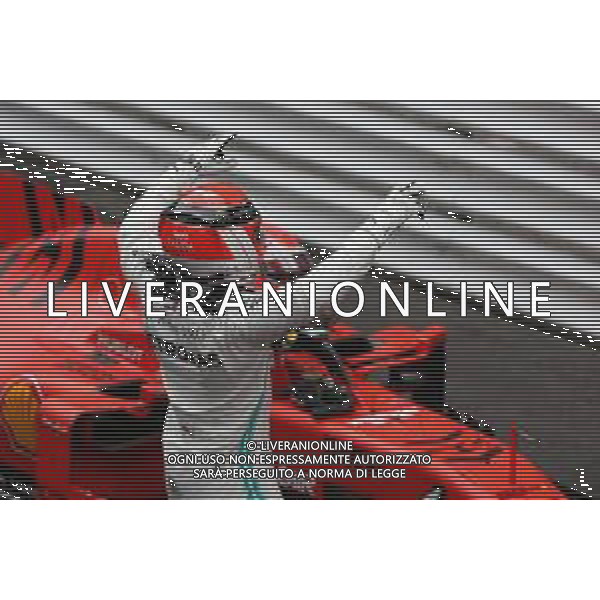 1st place Lewis Hamilton (GBR) Mercedes AMG F1 W10. 26.05.2019. Formula 1 World Championship, Rd 6, Monaco Grand Prix, Monte Carlo, Monaco, Race Day. AG ALDO LIVERANI SAS-ONLY ITALY