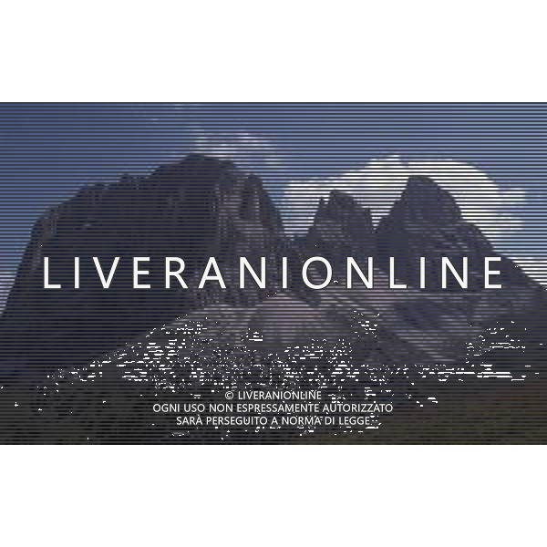 DOLOMITI SELVA DI VAL GARDENA SASSOLUNGO NELLA FOTO Il Sassolungo è la vetta principale del massiccio omonimo, collocato tra Val Gardena e Trentino AG ALDO LIVERANI SAS