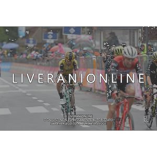 28-05-2019 Giro D\'italia; Tappa16 Lovere - Ponte Di Legno; 2019, Jumbo - Visma; Roglic, Primoz; Ponte Di Legno; ©SIROTTI / AGENZIA ALDO LIVERANI SAS