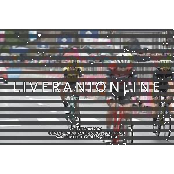 28-05-2019 Giro D\'italia; Tappa16 Lovere - Ponte Di Legno; 2019, Jumbo - Visma; Roglic, Primoz; Ponte Di Legno; ©SIROTTI / AGENZIA ALDO LIVERANI SAS