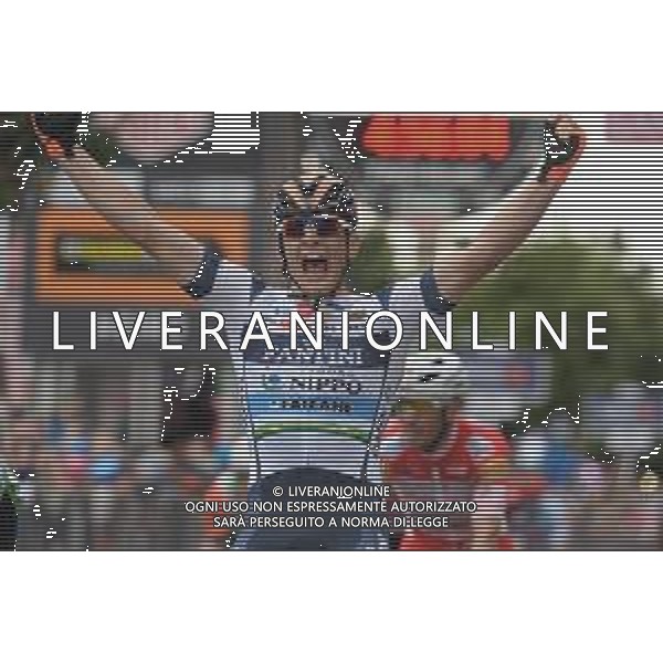 30-05-2019 Giro D\'italia; Tappa 18 Valdaora - Santa Maria Di Sala; 2019, Nippo - Vini Fantini Faizane; Cima, Damiano; Santa Maria Di Sala; ©SIROTTI / AGENZIA ALDO LIVERANI SAS