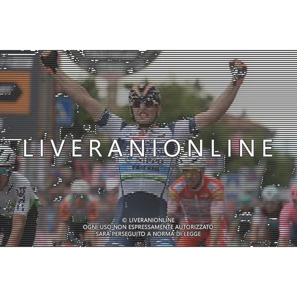 30-05-2019 Giro D\'italia; Tappa 18 Valdaora - Santa Maria Di Sala; 2019, Nippo - Vini Fantini Faizane; Cima, Damiano; Santa Maria Di Sala; ©SIROTTI / AGENZIA ALDO LIVERANI SAS