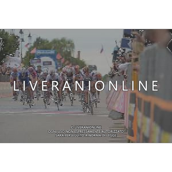 30-05-2019 Giro D\'italia; Tappa 18 Valdaora - Santa Maria Di Sala; 2019, Nippo - Vini Fantini Faizane; Cima, Damiano; Santa Maria Di Sala; ©SIROTTI / AGENZIA ALDO LIVERANI SAS