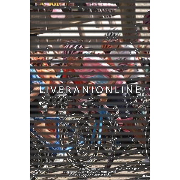 01-06-2019 Giro D\'italia; Tappa 20 Feltre - Croce D\'aune; 2019, Movistar; Carapaz Antonio, Richard Antonio; Feltre; FOTO STEFANO SIROTTI-AG ALDO LIVERANI SAS