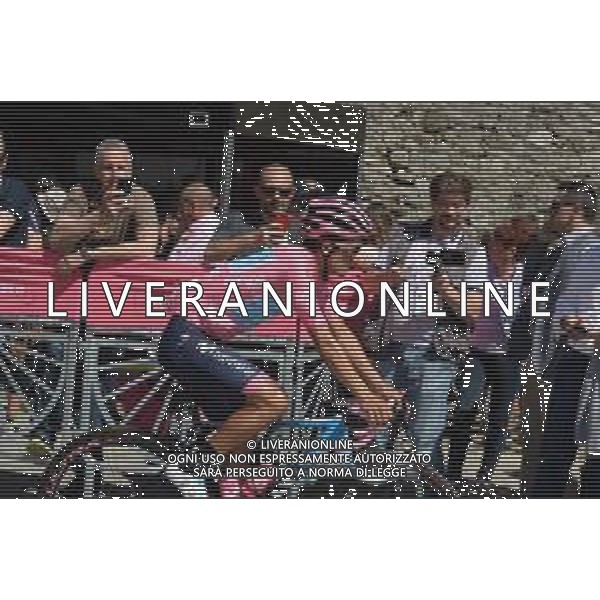 01-06-2019 Giro D\'italia; Tappa 20 Feltre - Croce D\'aune; 2019, Movistar; Carapaz Antonio, Richard Antonio; Feltre; FOTO STEFANO SIROTTI-AG ALDO LIVERANI SAS