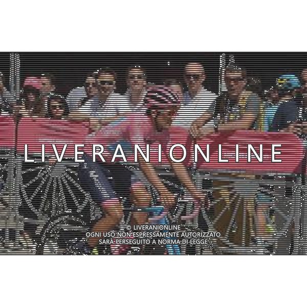 01-06-2019 Giro D\'italia; Tappa 20 Feltre - Croce D\'aune; 2019, Movistar; Carapaz Antonio, Richard Antonio; Feltre; FOTO STEFANO SIROTTI-AG ALDO LIVERANI SAS