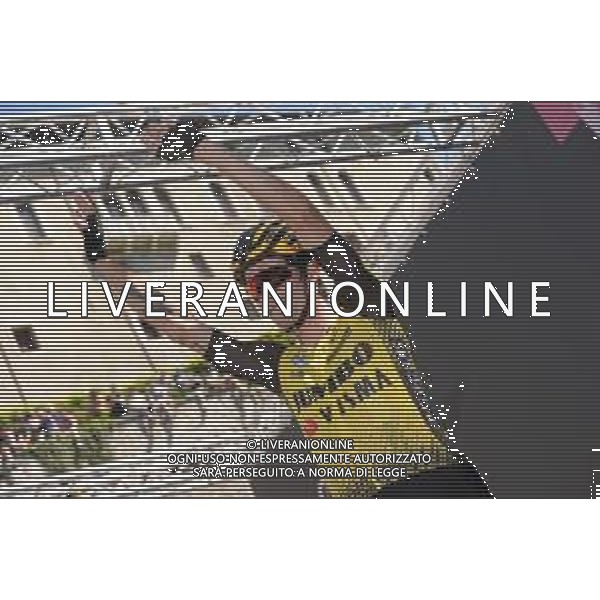 01-06-2019 Giro D\'italia; Tappa 20 Feltre - Croce D\'aune; 2019, Jumbo - Visma; Roglic, Primoz; Feltre; FOTO STEFANO SIROTTI-AG ALDO LIVERANI SAS