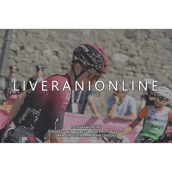 01-06-2019 Giro D\'italia; Tappa 20 Feltre - Croce D\'aune; 2019, Team Ineos; Sivakov, Pavel; Feltre; FOTO STEFANO SIROTTI-AG ALDO LIVERANI SAS