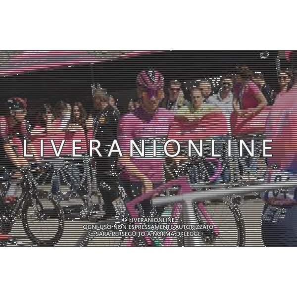01-06-2019 Giro D\'italia; Tappa 20 Feltre - Croce D\'aune; 2019, Bora - Hansgrohe; Ackermann, Pascal; Feltre; FOTO STEFANO SIROTTI-AG ALDO LIVERANI SAS