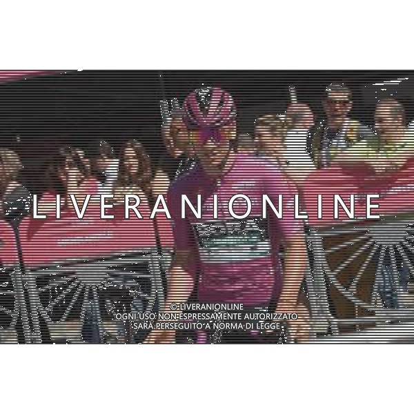01-06-2019 Giro D\'italia; Tappa 20 Feltre - Croce D\'aune; 2019, Bora - Hansgrohe; Ackermann, Pascal; Feltre; FOTO STEFANO SIROTTI-AG ALDO LIVERANI SAS