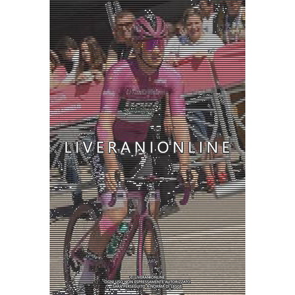 01-06-2019 Giro D\'italia; Tappa 20 Feltre - Croce D\'aune; 2019, Bora - Hansgrohe; Ackermann, Pascal; Feltre; FOTO STEFANO SIROTTI-AG ALDO LIVERANI SAS