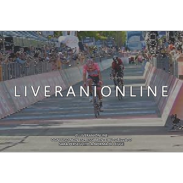 01-06-2019 Giro D\'italia; Tappa 20 Feltre - Croce D\'aune; 2019, Movistar; Carapaz Antonio, Richard Antonio; Croce D\' Aune; ©SIROTTI / AGENZIA ALDO LIVERANI SAS