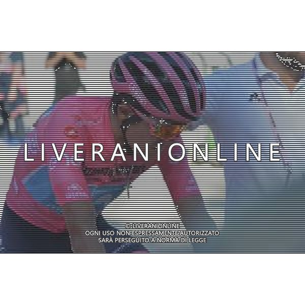 01-06-2019 Giro D\'italia; Tappa 20 Feltre - Croce D\'aune; 2019, Movistar; Carapaz Antonio, Richard Antonio; Croce D\' Aune; ©SIROTTI / AGENZIA ALDO LIVERANI SAS