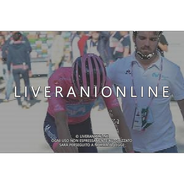 01-06-2019 Giro D\'italia; Tappa 20 Feltre - Croce D\'aune; 2019, Movistar; Carapaz Antonio, Richard Antonio; Croce D\' Aune; ©SIROTTI / AGENZIA ALDO LIVERANI SAS