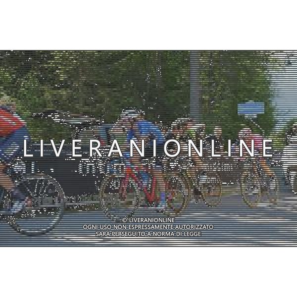 01-06-2019 Giro D\'italia; Tappa 20 Feltre - Croce D\'aune; 2019, Trek - Segafredo; Ciccone, Giulio; Croce D\' Aune; FOTO STEFANO SIROTTI-AG ALDO LIVERANI SAS