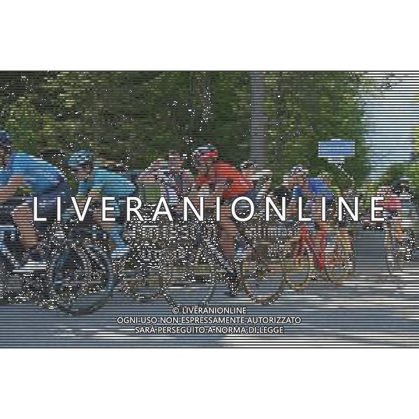 01-06-2019 Giro D\'italia; Tappa 20 Feltre - Croce D\'aune; 2019, Astana; 2019, Trek - Segafredo; Bilbao, Peio; Nibali, Vincenzo; Croce D\' Aune; FOTO STEFANO SIROTTI-AG ALDO LIVERANI SAS