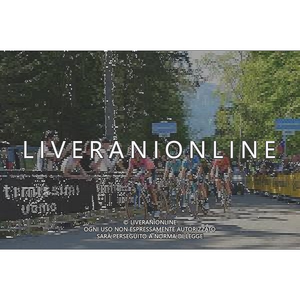 01-06-2019 Giro D\'italia; Tappa 20 Feltre - Croce D\'aune; 2019, Movistar; 2019, Astana; 2019, Bahrain - Merida; Carapaz Antonio, Richard Antonio; Landa Meana, Mikel; Bilbao, Peio; Nibali, Vincenzo; Croce D\' Aune; FOTO STEFANO SIROTTI-AG ALDO LIVERANI SAS
