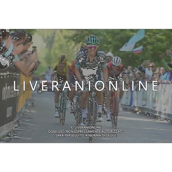 01-06-2019 Giro D\'italia; Tappa 20 Feltre - Croce D\'aune; 2019, Bora - Hansgrohe; Majka, Rafal; Croce D\' Aune; FOTO STEFANO SIROTTI-AG ALDO LIVERANI SAS