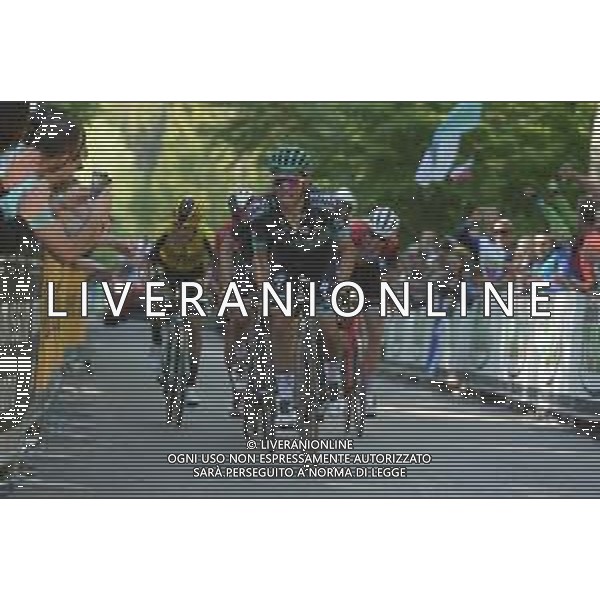 01-06-2019 Giro D\'italia; Tappa 20 Feltre - Croce D\'aune; 2019, Bora - Hansgrohe; Majka, Rafal; Croce D\' Aune; FOTO STEFANO SIROTTI-AG ALDO LIVERANI SAS