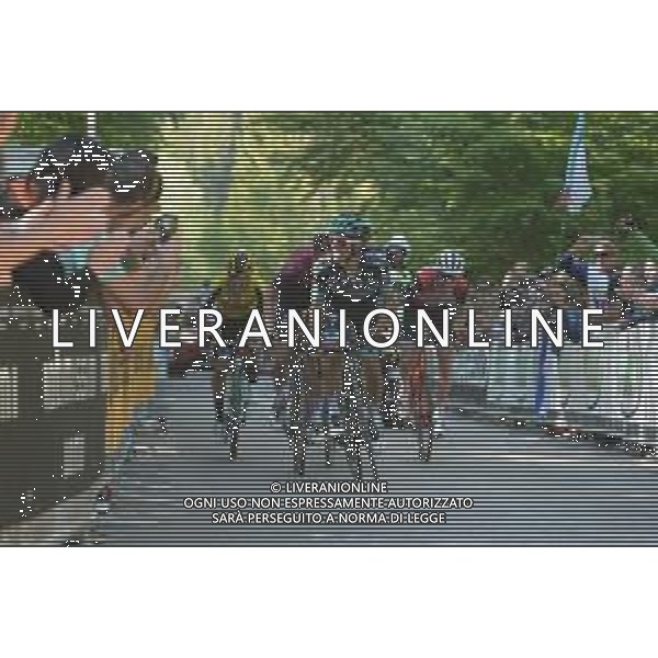 01-06-2019 Giro D\'italia; Tappa 20 Feltre - Croce D\'aune; 2019, Bora - Hansgrohe; Majka, Rafal; Croce D\' Aune; FOTO STEFANO SIROTTI-AG ALDO LIVERANI SAS