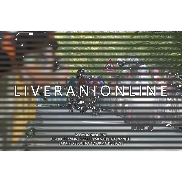 01-06-2019 Giro D\'italia; Tappa 20 Feltre - Croce D\'aune; 2019, Movistar; 2019, Bahrain - Merida; Carapaz Antonio, Richard Antonio; Nibali, Vincenzo; Croce D\' Aune; FOTO STEFANO SIROTTI-AG ALDO LIVERANI SAS