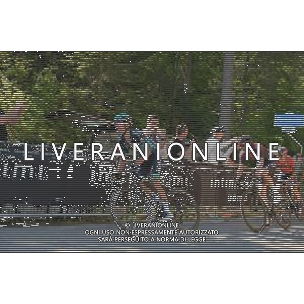 01-06-2019 Giro D\'italia; Tappa 20 Feltre - Croce D\'aune; 2019, Bora - Hansgrohe; Majka, Rafal; Croce D\' Aune; FOTO STEFANO SIROTTI-AG ALDO LIVERANI SAS