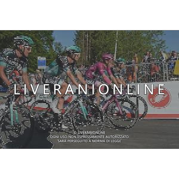 01-06-2019 Giro D\'italia; Tappa 20 Feltre - Croce D\'aune; 2019, Bora - Hansgrohe; Ackermann, Pascal; Poljanski, Pawel; Selig, Rudiger; Schwarzmann, Michael; Croce D\' Aune; FOTO STEFANO SIROTTI-AG ALDO LIVERANI SAS