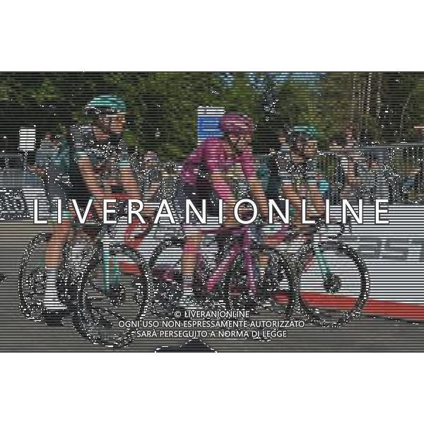 01-06-2019 Giro D\'italia; Tappa 20 Feltre - Croce D\'aune; 2019, Bora - Hansgrohe; Ackermann, Pascal; Selig, Rudiger; Schwarzmann, Michael; Croce D\' Aune; FOTO STEFANO SIROTTI-AG ALDO LIVERANI SAS