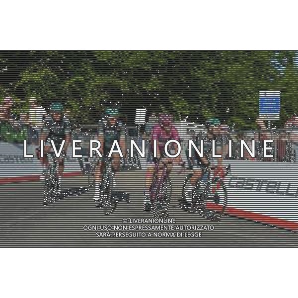 01-06-2019 Giro D\'italia; Tappa 20 Feltre - Croce D\'aune; 2019, Bora - Hansgrohe; Ackermann, Pascal; Poljanski, Pawel; Selig, Rudiger; Schwarzmann, Michael; Croce D\' Aune; FOTO STEFANO SIROTTI-AG ALDO LIVERANI SAS