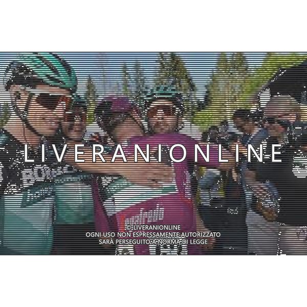 01-06-2019 Giro D\'italia; Tappa 20 Feltre - Croce D\'aune; 2019, Bora - Hansgrohe; Ackermann, Pascal; Croce D\' Aune; FOTO STEFANO SIROTTI-AG ALDO LIVERANI SAS