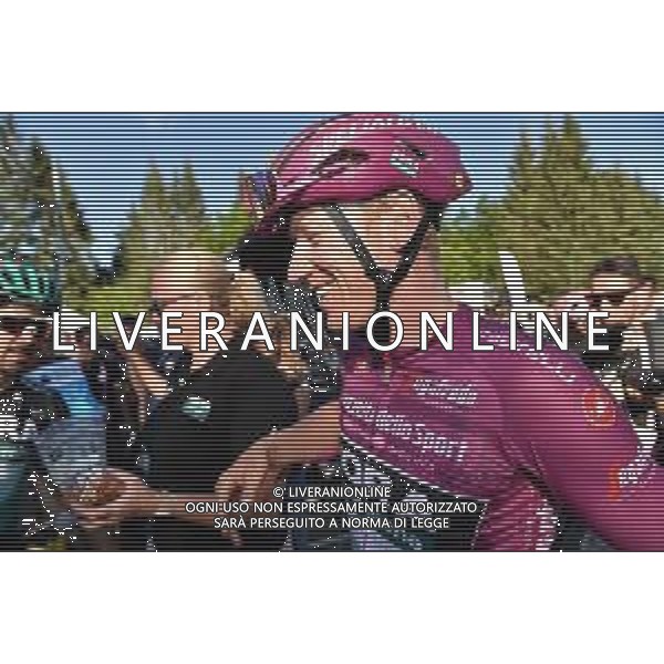 01-06-2019 Giro D\'italia; Tappa 20 Feltre - Croce D\'aune; 2019, Bora - Hansgrohe; Ackermann, Pascal; Croce D\' Aune; FOTO STEFANO SIROTTI-AG ALDO LIVERANI SAS