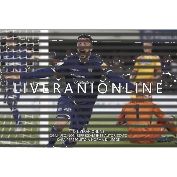 VERONA 02/06/2019 - Play off di serie BKT Hellas Verona - Cittadella. Partita di Ritorno nella foto: esultanza dopo il gol di Di Carmine Samuel (hellas verona) ©Claudio Zamagni/Agenzia Aldo Liverani / AGENZIA ALDO LIVERANI SAS