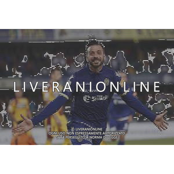 VERONA 02/06/2019 - Play off di serie BKT Hellas Verona - Cittadella. Partita di Ritorno nella foto: esultanza dopo il gol di Di Carmine Samuel (hellas verona) ©Claudio Zamagni/Agenzia Aldo Liverani / AGENZIA ALDO LIVERANI SAS