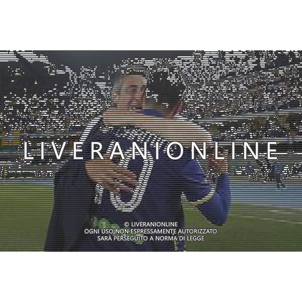 VERONA 02/06/2019 - Play off di serie BKT Hellas Verona - Cittadella. Partita di Ritorno nella foto: Di Carmine Samuel (hellas verona) Allenatore Alfredo Aglietti (hellas verona) Esultanza e festeggiamenti a fine gara per la promozione in serie A del verona ©Claudio Zamagni/Agenzia Aldo Liverani / AGENZIA ALDO LIVERANI SAS