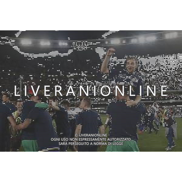VERONA 02/06/2019 - Play off di serie BKT Hellas Verona - Cittadella. Partita di Ritorno nella foto: esultanza finale hellas verona per la promozione in serie A ©Claudio Zamagni/Agenzia Aldo Liverani