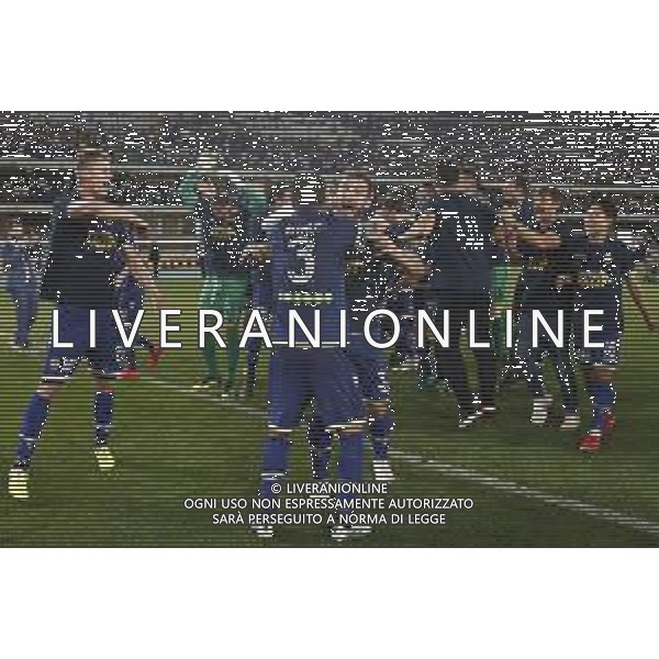 VERONA 02/06/2019 - Play off di serie BKT Hellas Verona - Cittadella. Partita di Ritorno nella foto: esultanza finale hellas verona per la promozione in serie A ©Claudio Zamagni/Agenzia Aldo Liverani