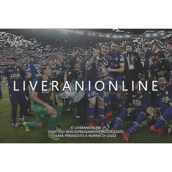 VERONA 02/06/2019 - Play off di serie BKT Hellas Verona - Cittadella. Partita di Ritorno nella foto: esultanza finale hellas verona per la promozione in serie A ©Claudio Zamagni/Agenzia Aldo Liverani