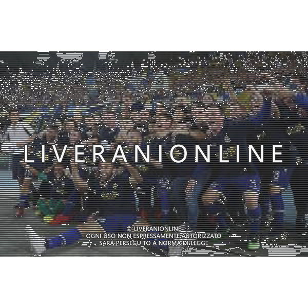 VERONA 02/06/2019 - Play off di serie BKT Hellas Verona - Cittadella. Partita di Ritorno nella foto: esultanza finale hellas verona per la promozione in serie A ©Claudio Zamagni/Agenzia Aldo Liverani