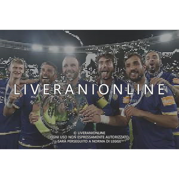 VERONA 02/06/2019 - Play off di serie BKT Hellas Verona - Cittadella. Partita di Ritorno nella foto: esultanza finale hellas verona per la promozione in serie A ©Claudio Zamagni/Agenzia Aldo Liverani